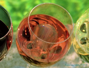 Wines of France | French Wine Explorers
